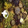 فروش عمده داروی گیاهی در همدان