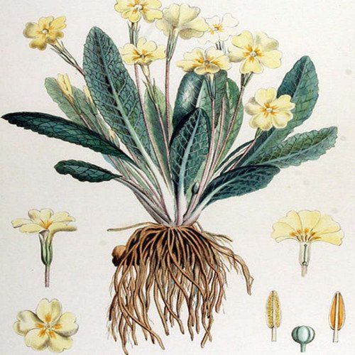 Example