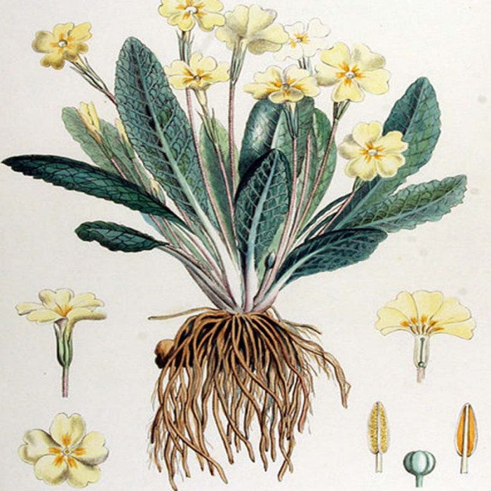 Example